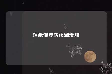 轴承保养防水润滑脂 