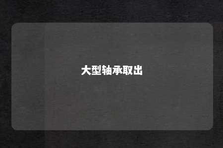 大型轴承取出 